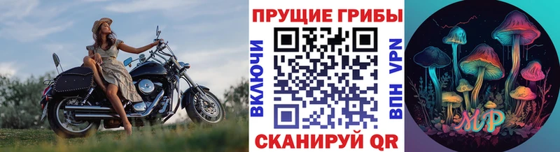 Галлюциногенные грибы Magic Shrooms  наркота  Лабинск 