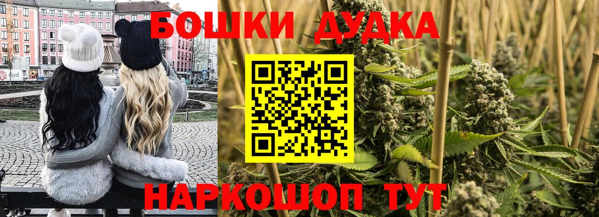 Бошки марихуана планчик  Вход с VPN  Марихуана ГИДРОПОН  Лабинск  Конопля OG Kush 